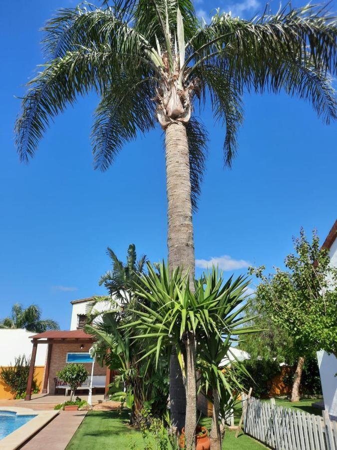 Chalet La Huerta Con Piscina Y Wifi Conil De La Frontera Εξωτερικό φωτογραφία