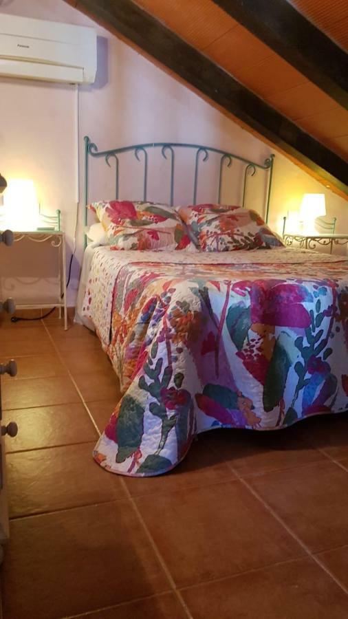 Chalet La Huerta Con Piscina Y Wifi Conil De La Frontera Εξωτερικό φωτογραφία